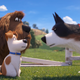 Illustration for article titled The mini-adventures ofi Secret Life Of Pets 2/i belong on a disc of bonus features, not in theaters